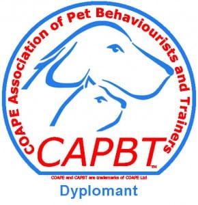 logo COAPE dypolmant